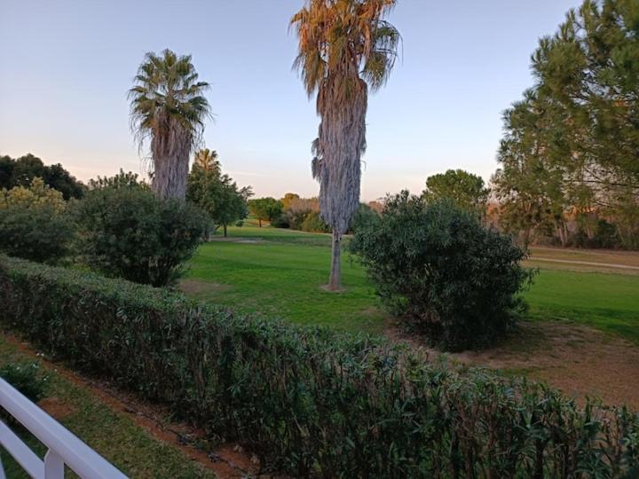 Met&Golf Oliva Nova Beach Jardin Exterior foto